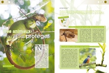 magazine-anform-protection-animals