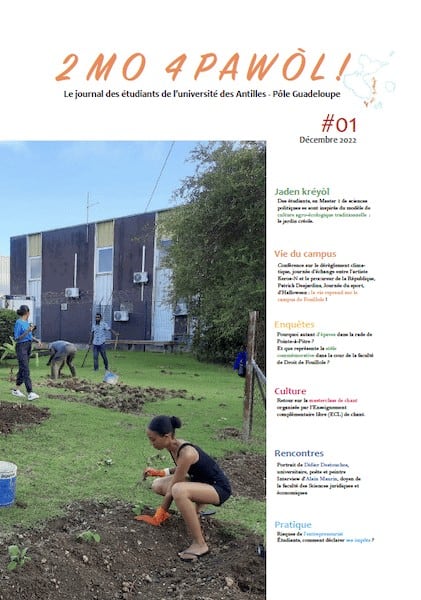 Newspaper cover 2 Mb 4 Pawol