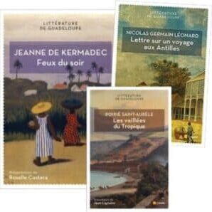 conseil-regional-saisie-litterature-guadeloupe